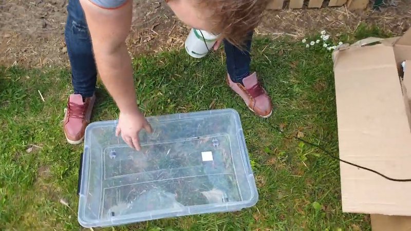 Préparation du support pour le traitement des poules