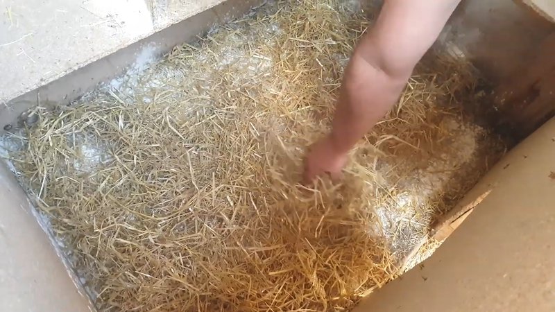 Répartir la terre de diatomée sur l'ensemble de la surface