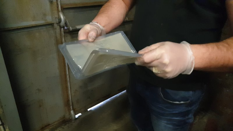 rat-manipuler-les-plaques