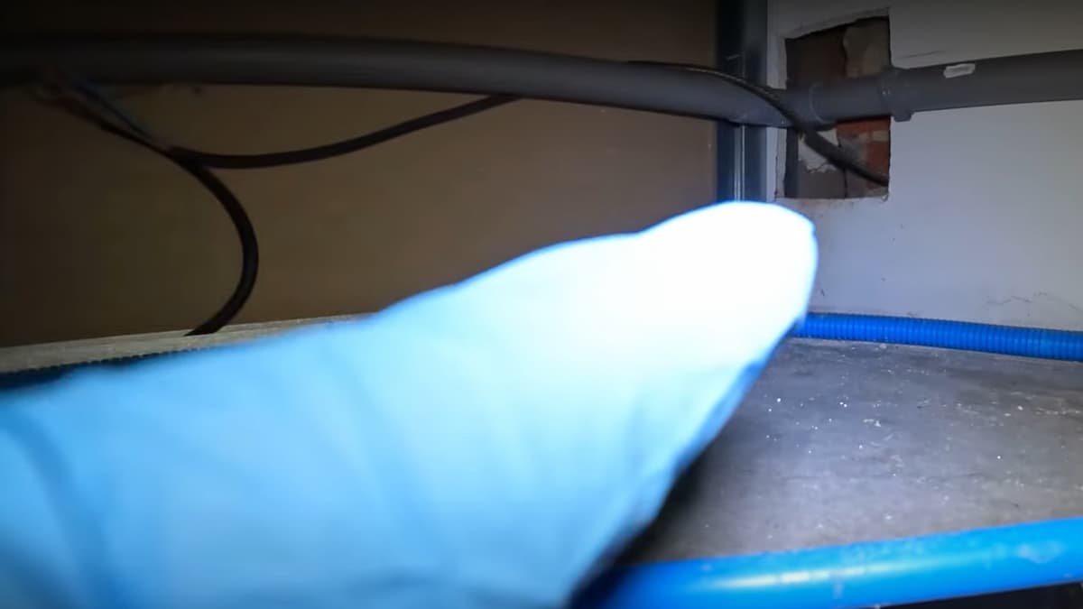 Passage de rat par le coffrage d'un mur ouvert pour une canalisation