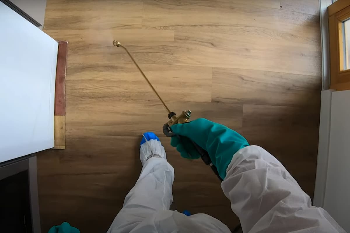 Aspersion d'un traitement anti puce sur le sol d'un logement
